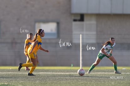 Santos Laguna vs Tigres UANL S19 | Santos Laguna vs Tigres UANL S19