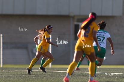 Santos Laguna vs Tigres UANL S19 | Santos Laguna vs Tigres UANL S19