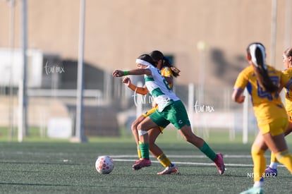 Britany Hernández | Santos Laguna vs Tigres UANL S19