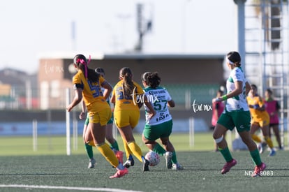 Santos Laguna vs Tigres UANL S19 | Santos Laguna vs Tigres UANL S19