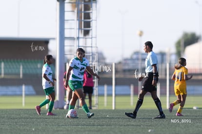 Santos Laguna vs Tigres UANL S19 | Santos Laguna vs Tigres UANL S19