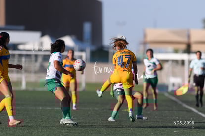 Devanny Carmona | Santos Laguna vs Tigres UANL S19