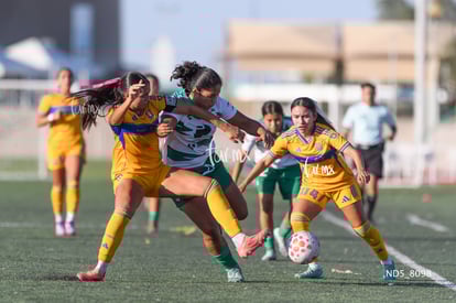 Alexa Gutiérrez, Kimberly Morales, Devanny Carmona | Santos Laguna vs Tigres UANL S19
