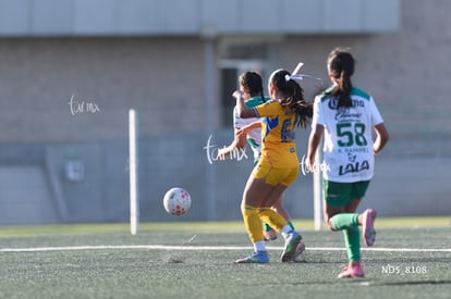 Santos Laguna vs Tigres UANL S19 | Santos Laguna vs Tigres UANL S19