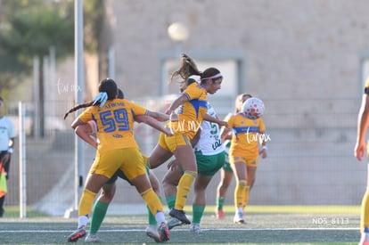 Santos Laguna vs Tigres UANL S19 | Santos Laguna vs Tigres UANL S19