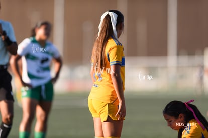 Santos Laguna vs Tigres UANL S19 | Santos Laguna vs Tigres UANL S19