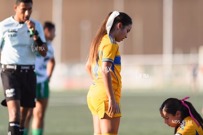 Santos Laguna vs Tigres UANL S19 | Santos Laguna vs Tigres UANL S19