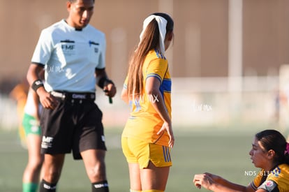 Santos Laguna vs Tigres UANL S19 | Santos Laguna vs Tigres UANL S19