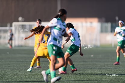 Santos Laguna vs Tigres UANL S19 | Santos Laguna vs Tigres UANL S19
