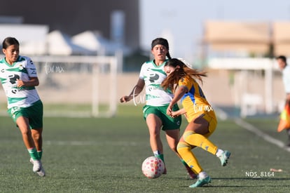 Devanny Carmona | Santos Laguna vs Tigres UANL S19