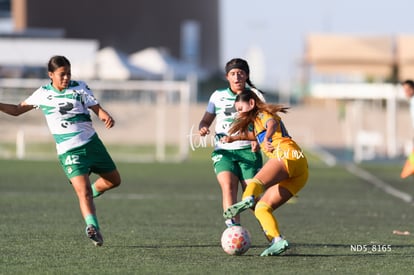 Devanny Carmona | Santos Laguna vs Tigres UANL S19