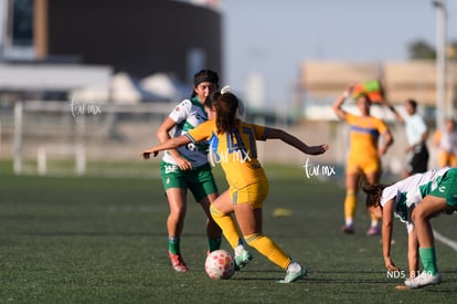 Devanny Carmona | Santos Laguna vs Tigres UANL S19