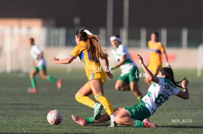 Devanny Carmona, Tania Baca | Santos Laguna vs Tigres UANL S19