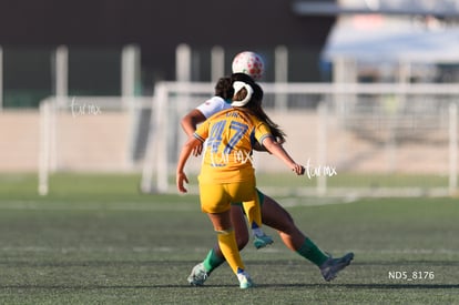 Devanny Carmona | Santos Laguna vs Tigres UANL S19