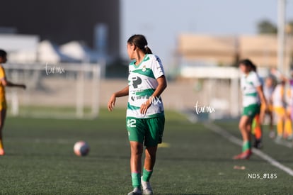 Santos Laguna vs Tigres UANL S19 | Santos Laguna vs Tigres UANL S19