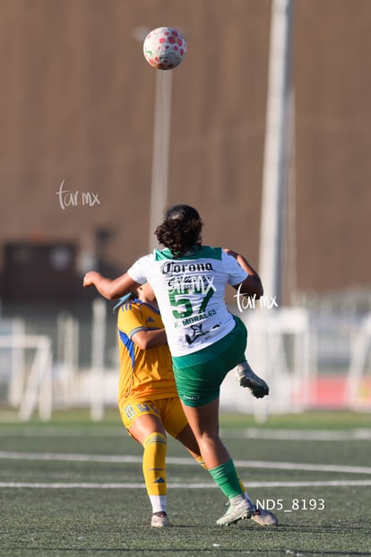 Kimberly Morales | Santos Laguna vs Tigres UANL S19