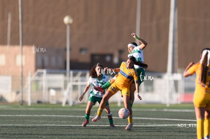 Britany Hernández, Natalia Castillo | Santos Laguna vs Tigres UANL S19