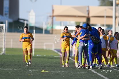 gol Lya Perez | Santos Laguna vs Tigres UANL S19