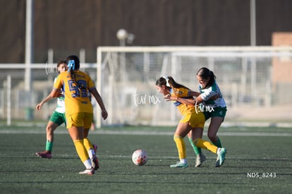 Santos Laguna vs Tigres UANL S19 | Santos Laguna vs Tigres UANL S19