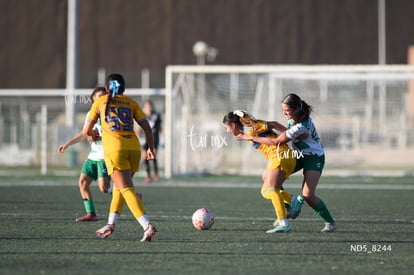 Santos Laguna vs Tigres UANL S19 | Santos Laguna vs Tigres UANL S19