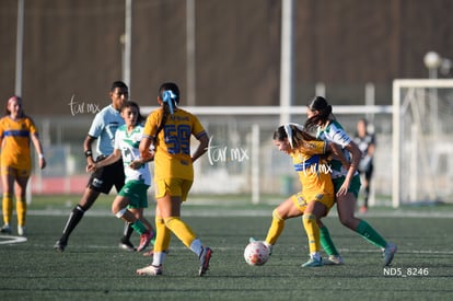 Devanny Carmona | Santos Laguna vs Tigres UANL S19
