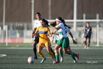Devanny Carmona, Britany Hernández | Santos Laguna vs Tigres UANL S19
