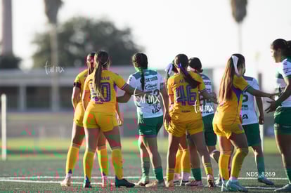Wendy Ibarra, Natalia Castillo | Santos Laguna vs Tigres UANL S19