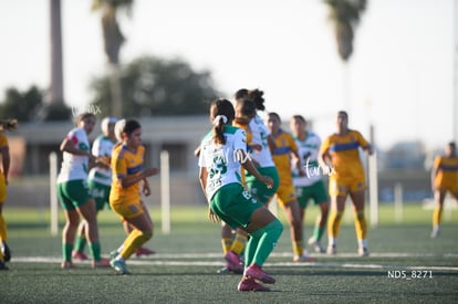 Santos Laguna vs Tigres UANL S19 | Santos Laguna vs Tigres UANL S19