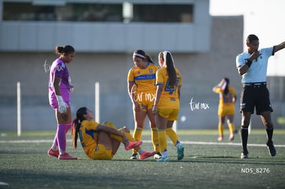 Santos Laguna vs Tigres UANL S19 | Santos Laguna vs Tigres UANL S19