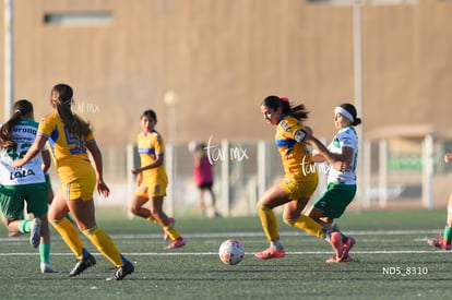Alexa Gutiérrez, Britany Hernández | Santos Laguna vs Tigres UANL S19