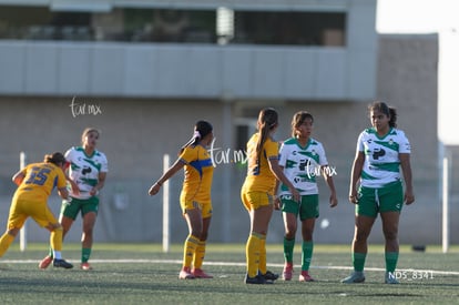 Santos Laguna vs Tigres UANL S19 | Santos Laguna vs Tigres UANL S19