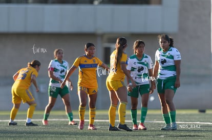 Santos Laguna vs Tigres UANL S19 | Santos Laguna vs Tigres UANL S19