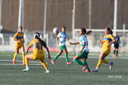 Yolanda Lira | Santos Laguna vs Tigres UANL S19