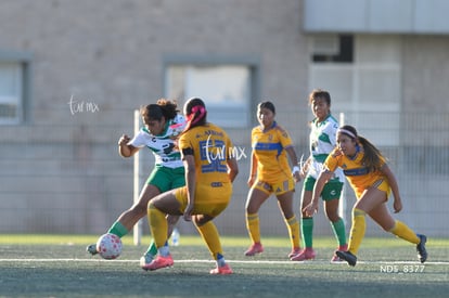 Kimberly Morales | Santos Laguna vs Tigres UANL S19