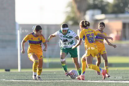 Britany Hernández | Santos Laguna vs Tigres UANL S19