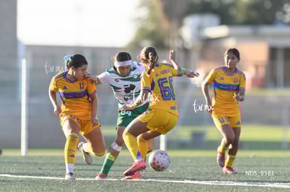 Britany Hernández, Danna Hernández, Evelin Rodríguez | Santos Laguna vs Tigres UANL S19
