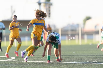 Santos Laguna vs Tigres UANL S19 | Santos Laguna vs Tigres UANL S19