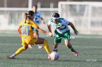Britany Hernández | Santos Laguna vs Tigres UANL S19
