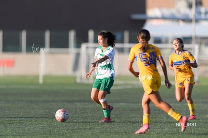 Ximena Ramírez | Santos Laguna vs Tigres UANL S19