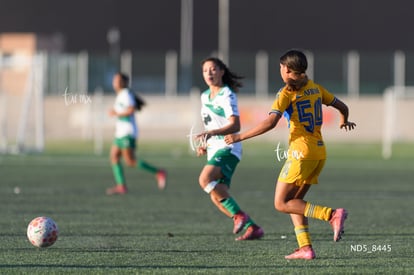 Samantha Pardo | Santos Laguna vs Tigres UANL S19
