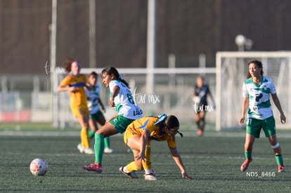 Yolanda Lira | Santos Laguna vs Tigres UANL S19