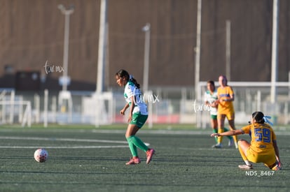 Yolanda Lira | Santos Laguna vs Tigres UANL S19