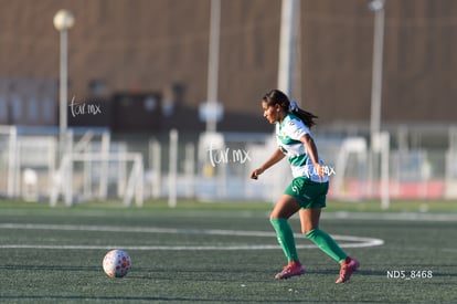 Yolanda Lira | Santos Laguna vs Tigres UANL S19