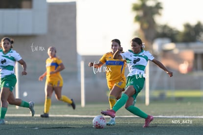 Yolanda Lira | Santos Laguna vs Tigres UANL S19