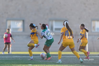 Santos Laguna vs Tigres UANL S19 | Santos Laguna vs Tigres UANL S19