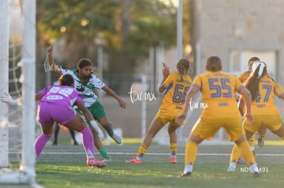 Santos Laguna vs Tigres UANL S19 | Santos Laguna vs Tigres UANL S19