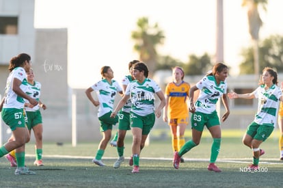 gol | Santos Laguna vs Tigres UANL S19