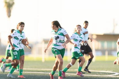 gol | Santos Laguna vs Tigres UANL S19