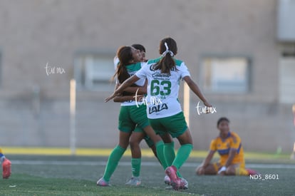 gol | Santos Laguna vs Tigres UANL S19