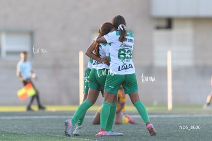 gol | Santos Laguna vs Tigres UANL S19